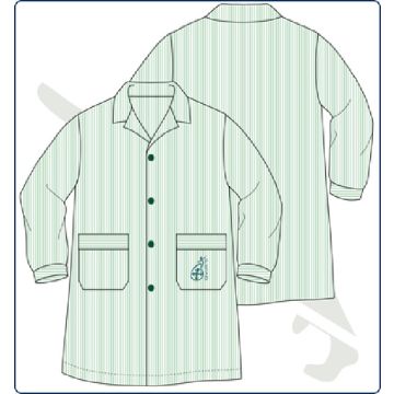 BABY BOTONES RY VERDE C/CUELLO FESD