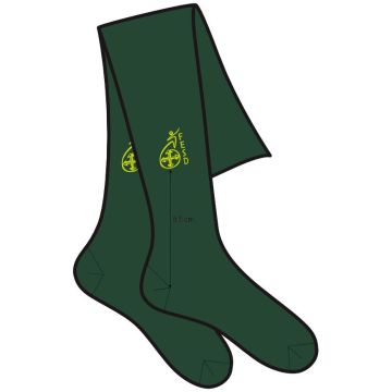 LEOTARDO FUND. SANTO DOMINGO FESD